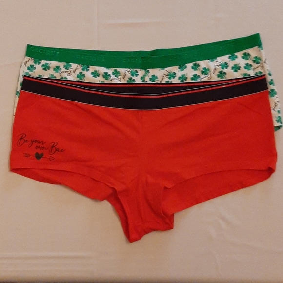 Cacique Other - Final Price NWOT Cacique 2 pack panty bundle